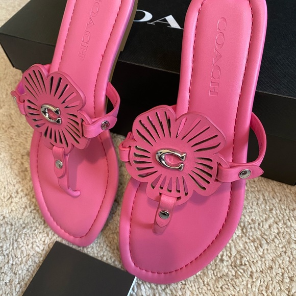 🎀 Coach Julia Sandal size 6 - Picture 3 of 11